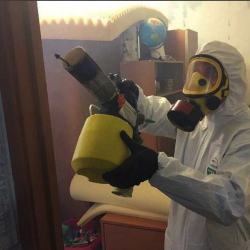 Уничтожение клопов в квартире. Назрань